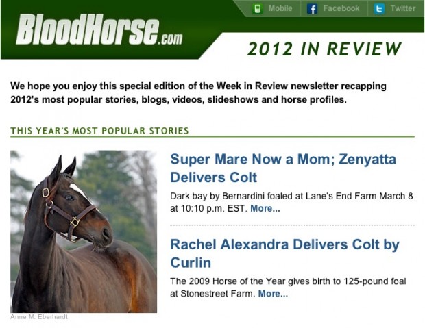 Bloodhorse 2012 in Review