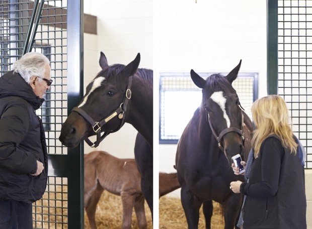 Jerry and Ann with Zenyatta on April 2. Photos by Kyle Acebo