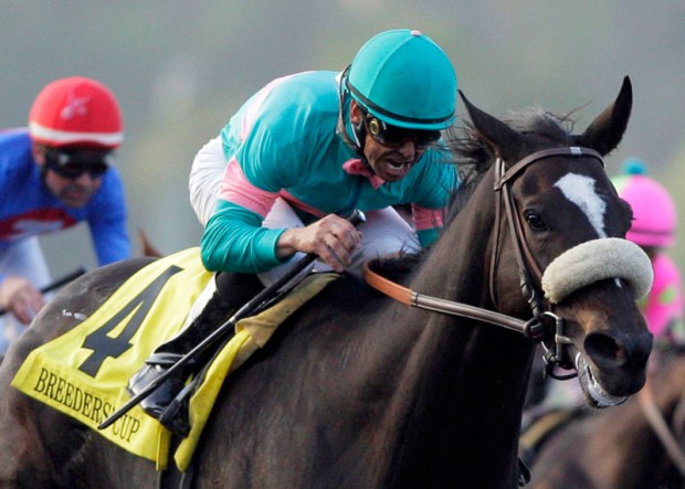 Zenyatta and Mike Smith, 2009 Breeders' Cup Classic.  Photo courtesy of AP Photo / Jae C. Hong.