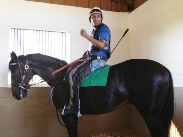 Cozmic One and rider. Photo courtesy of Mayberry Farm