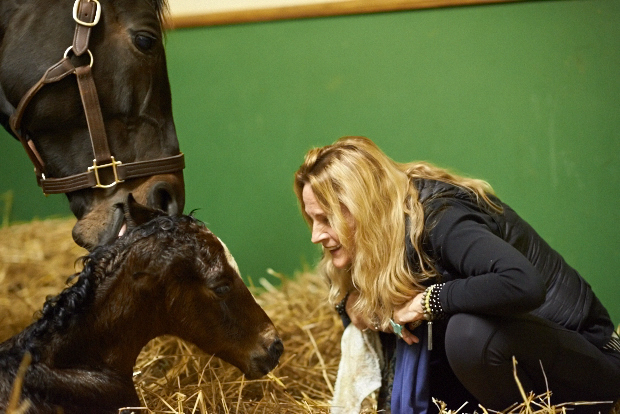 Ann greets the newest addition to the Zenyatta family. Photo by Kyle Acebo.