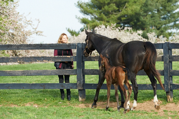 Zenyatta and her filly greet Ann at the fence. Photo by Kyle Acebo.