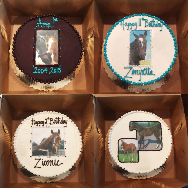Birthday cakes sent by Jan Stein. Thank you Jan!