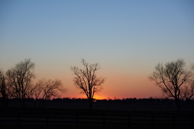 Sunset at Lane's End Farm. Photo by Kyle Acebo