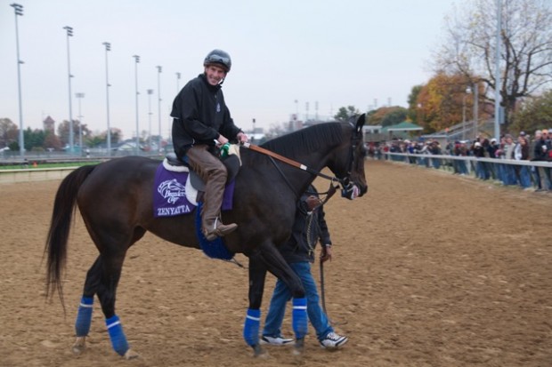 Smiling Steve... coming back from her gallop at Churchill Downs. Photo by John Shirreffs.