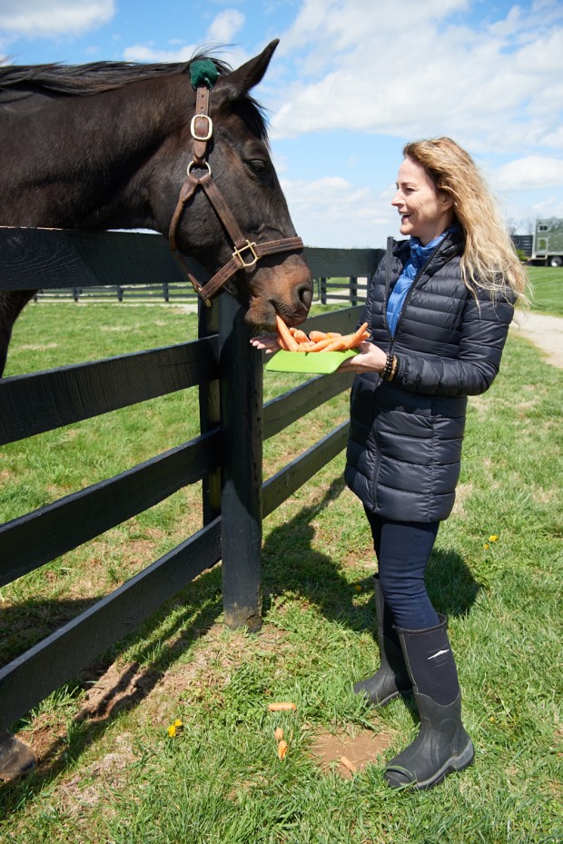 Zenyatta get treated to a bowl of carrots. Photo by Kyle Acebo.