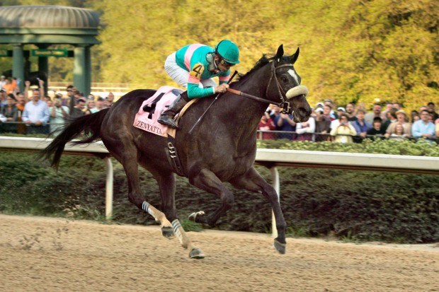 April 9, 2010, Zenyatta and jockey Mike Smith race down the stretch on the way to winning the $500,000 Apple Blossom Invitational horse race at Oaklawn Park in Hot Springs, Ark. (AP Photo/Danny Johnston)