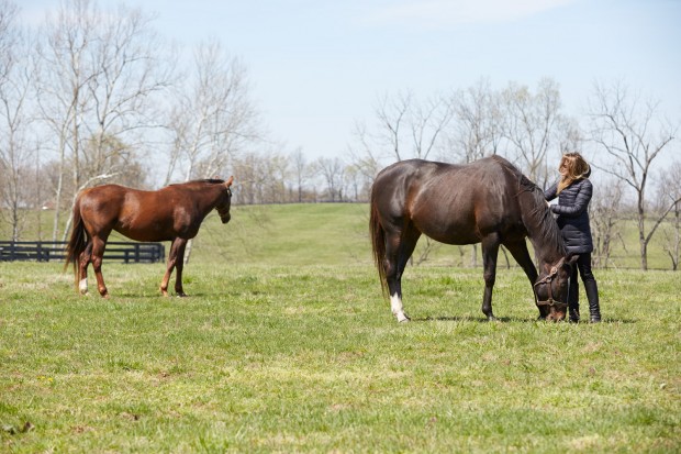 Zenyatta, turned out with Vixana, Ann Moss by her side.