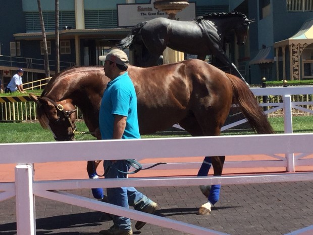 Ziconic schooling this morning at Santa Anita with  Mario, his mom's statue in the background. Photo by Dottie Ingordo-Shirreffs.