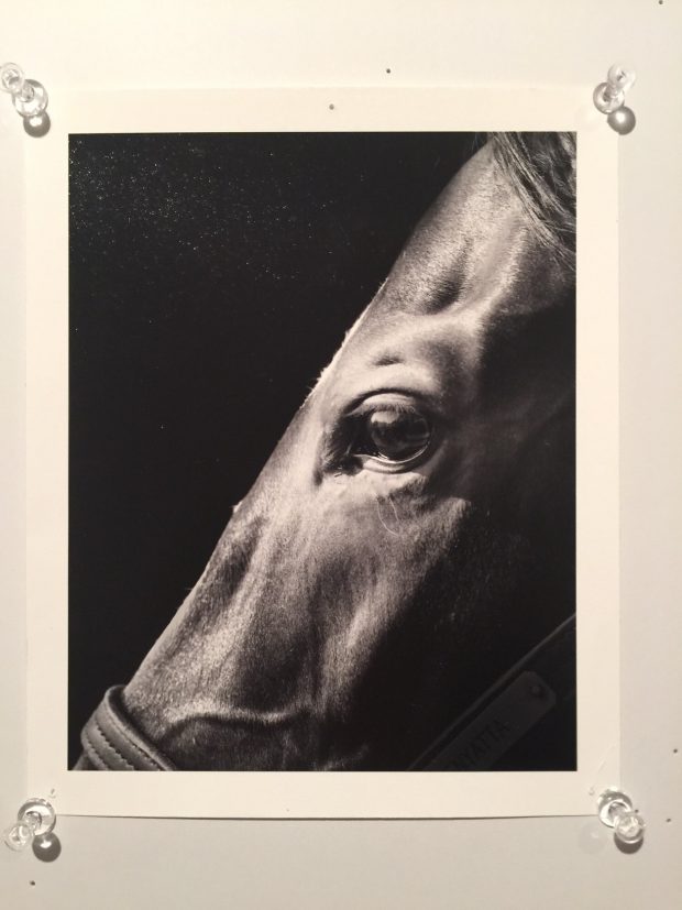 Enter Neil Latham's Instagram contest for a chance to win this print.