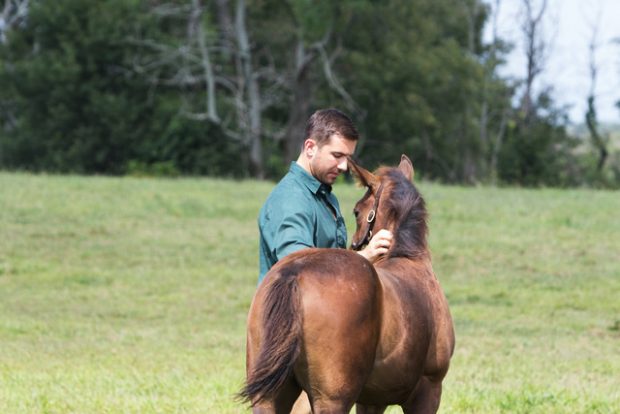 Zenyatta's filly and broodmare manager Charles Campbell. Photo by Alys Emson